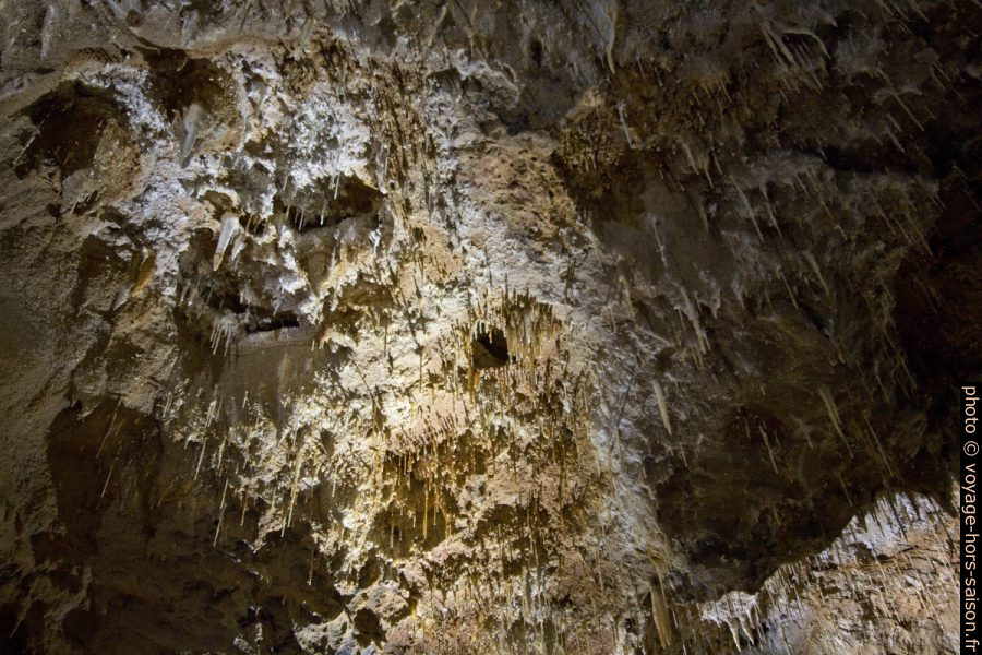 Fistuleuses diverses dans la Grotte de Clamouse. Photo © André M. Winter