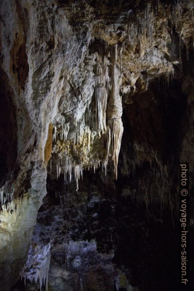 Stalactites-drapeaux dans la Grotte de Clamouse. Photo © André M. Winter