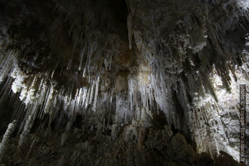 Fistuleuses du Couloir Blanc de la Grotte de Clamouse. Photo © André M. Winter