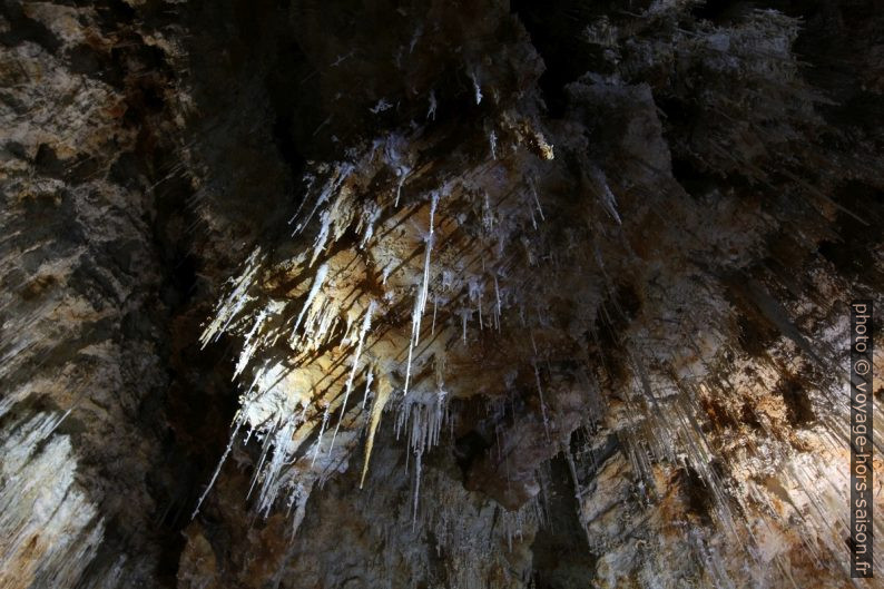 Longues fistuleuses dans la Grotte de Clamouse. Photo © André M. Winter