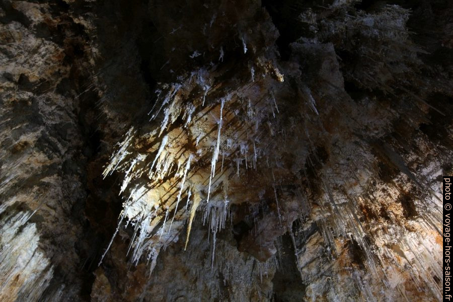 Longues fistuleuses dans la Grotte de Clamouse. Photo © André M. Winter