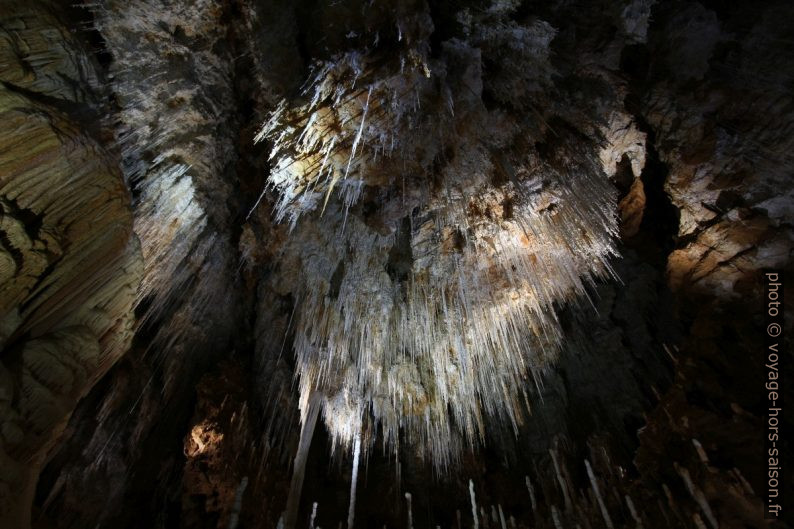 Fistuleuses denses dans la Grotte de Clamouse. Photo © André M. Winter