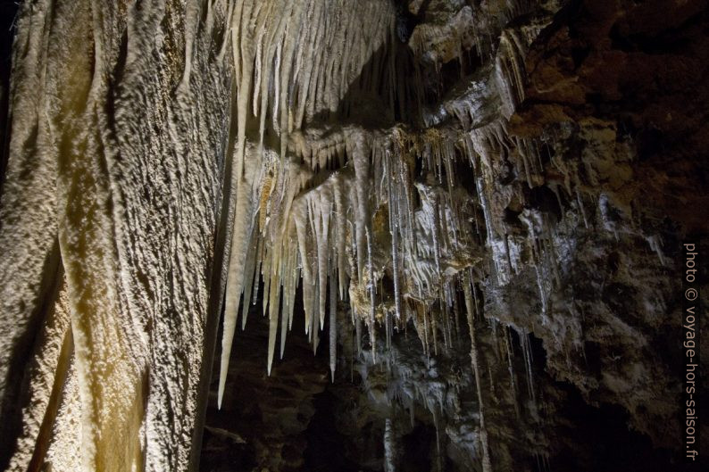 Drapeaux et stalactites fins dans la Grotte de Clamouse. Photo © André M. Winter