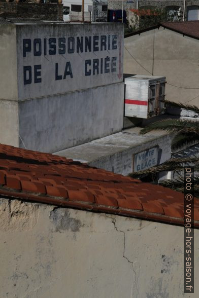 Poissonnerie de la Criée. Photo © Alex Medwedeff