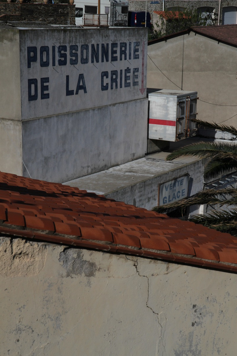 Poissonnerie de la Criée. Photo © Alex Medwedeff