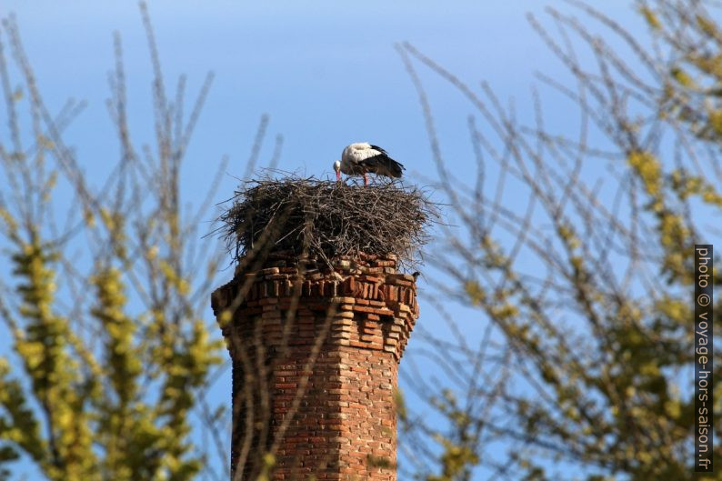Cigogne arrangeant son nid sur la cheminée de la Fábrica de Armas de Tolède. Photo © André M. Winter