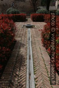 Chemin avec rigole d'eau du Jardín de Cristo de la Luz. Photo © Alex Medwedeff