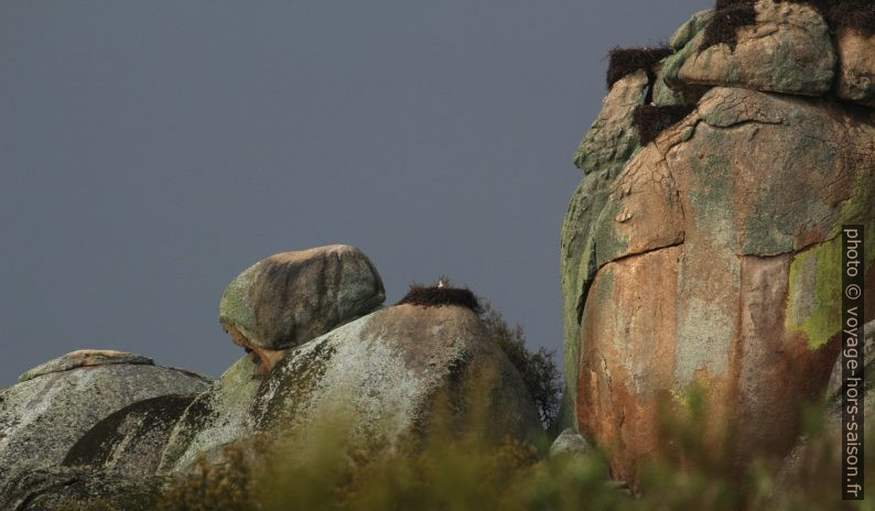 Rochers granitiques des Barruecos et les nids des cigognes. Photo © André M. Winter