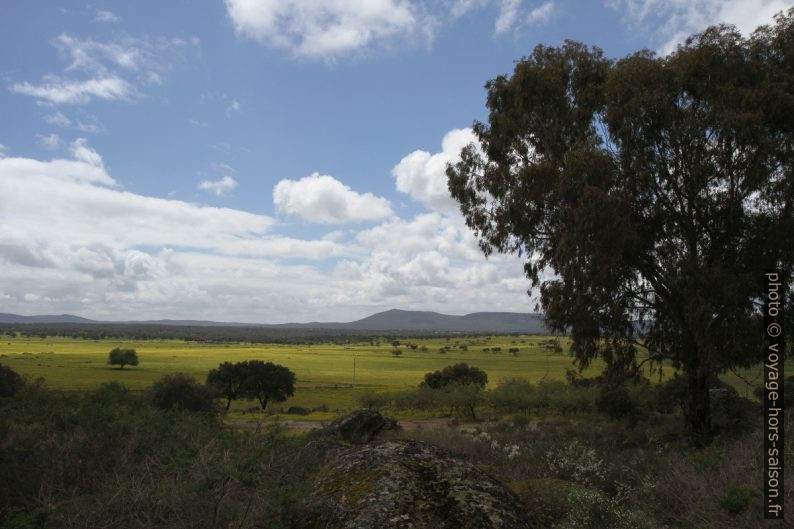 Pleine fleurie de l'Extremadura. Photo © Alex Medwedeff