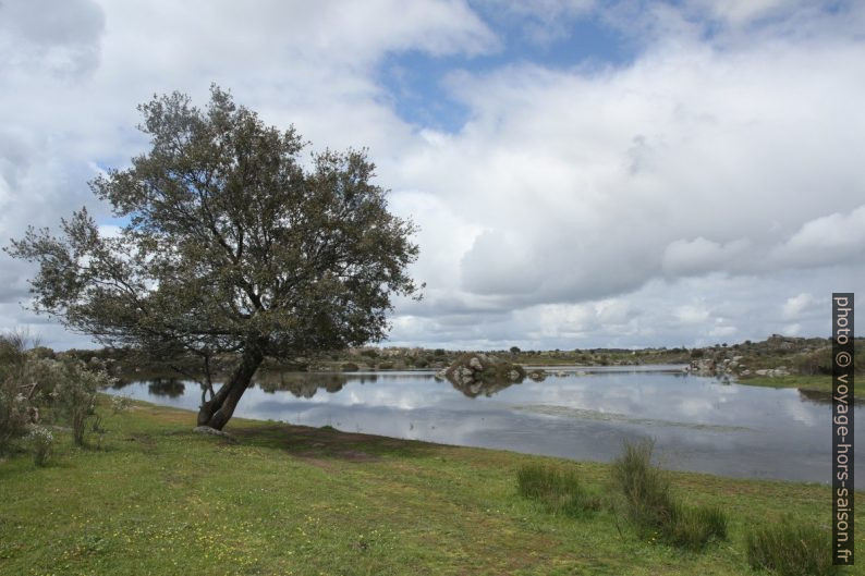 Paysage du lac des Barruecos. Photo © Alex Medwedeff