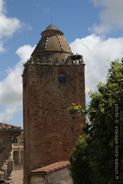 Torre del Alfiler. Photo © Alex Medwedeff