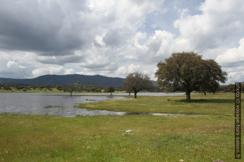 Embalse del Arroyo de las Canchalejas. Photo © Alex Medwedeff