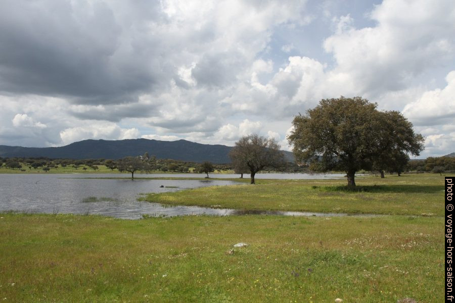 Embalse del Arroyo de las Canchalejas. Photo © Alex Medwedeff