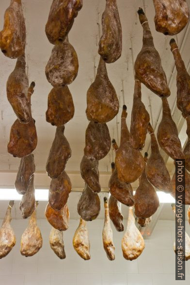 Cuisses de cochon ibérique suspendues au plafond. Photo © Alex Medwedeff