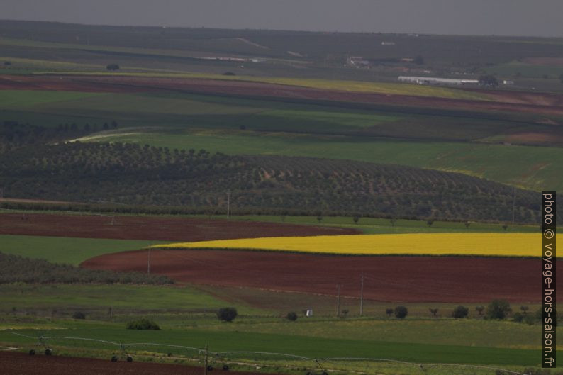 Champs cultivés dans l'Alentejo. Photo © André M. Winter