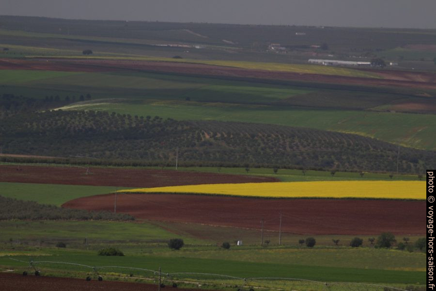 Champs cultivés dans l'Alentejo. Photo © André M. Winter