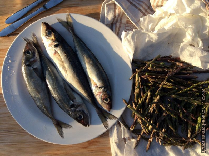 Poisson et asperge sauvage. Photo © Alex Medwedeff