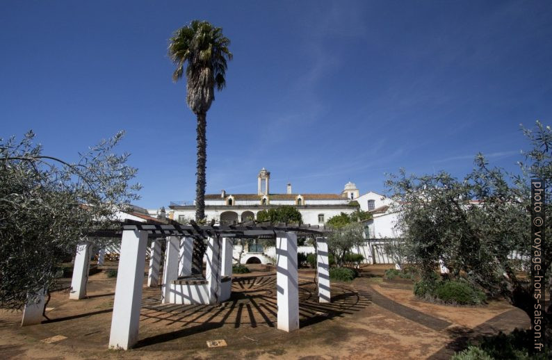 Pergola dans le Jardim das Oliveiras. Photo © André M. Winter