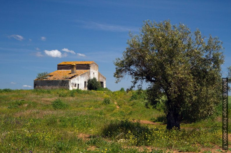 Ferme abandonnée. Photo © Alex Medwedeff