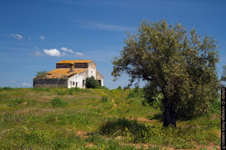 Ferme abandonnée. Photo © Alex Medwedeff