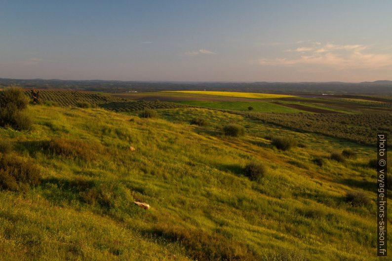 Lumière du sur sur les champs de l'Alentejo. Photo © Alex Medwedeff