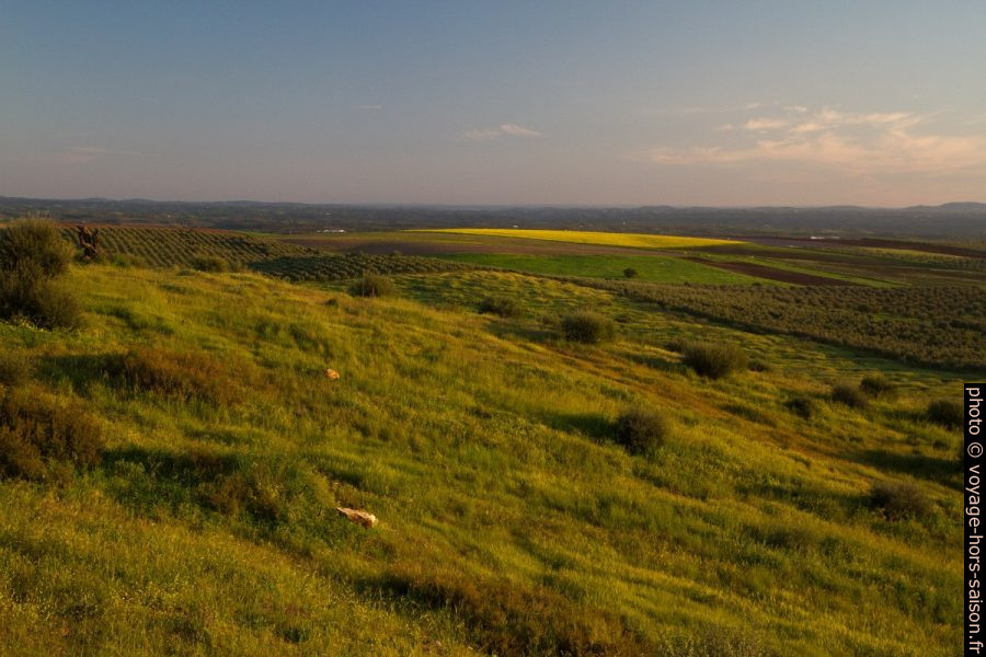 Lumière du sur sur les champs de l'Alentejo. Photo © Alex Medwedeff