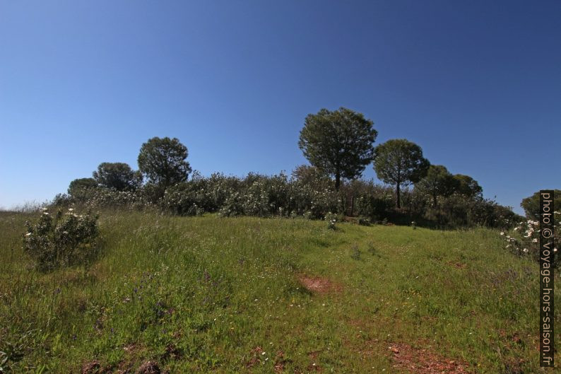 Colline Anta das Pais. Photo © André M. Winter