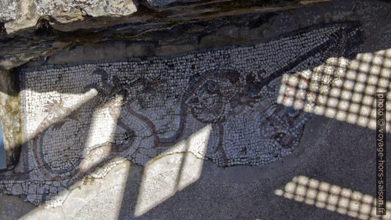 Mosaïque de Bellérophon de l'Alcáçova do Castelo. Photo © André M. Winter