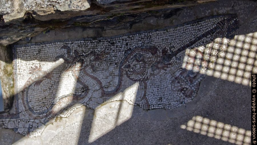 Mosaïque de Bellérophon de l'Alcáçova do Castelo. Photo © André M. Winter