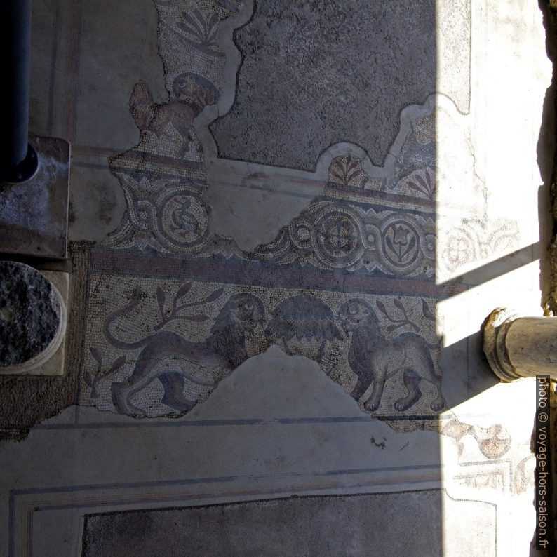 Lions en mosaïques dans le couloir du Complexe Baptismal. Photo © André M. Winter