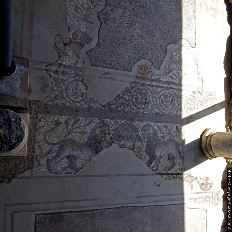 Lions en mosaïques dans le couloir du Complexe Baptismal. Photo © André M. Winter