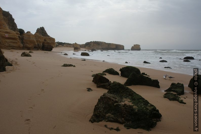 Vue retour vers la Praia do São Rafael. Photo © Alex Medwedeff