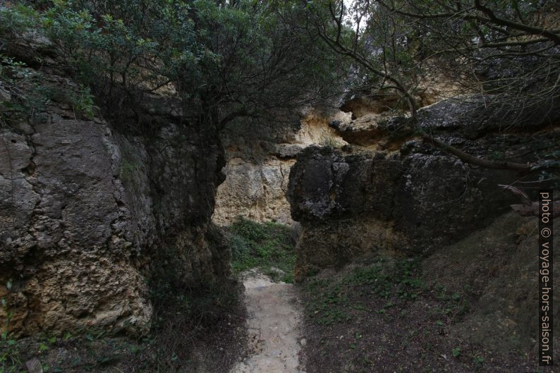 Chemin d'accès à la Praia Secreta. Photo © André M. Winter