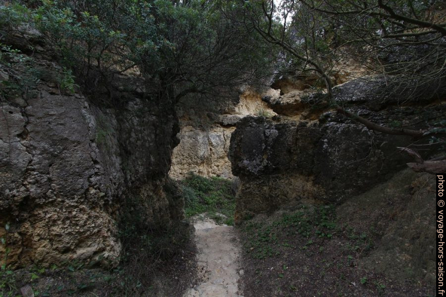 Chemin d'accès à la Praia Secreta. Photo © André M. Winter