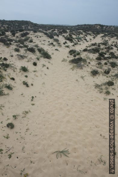 Chemin sur la dune de Praia Grande de Pêra. Photo © André M. Winter