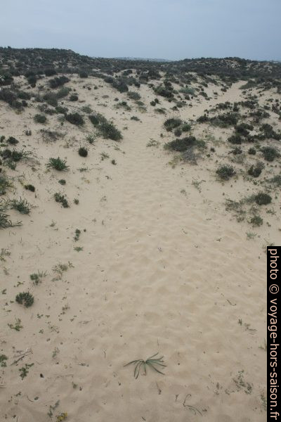 Chemin sur la dune de Praia Grande de Pêra. Photo © André M. Winter
