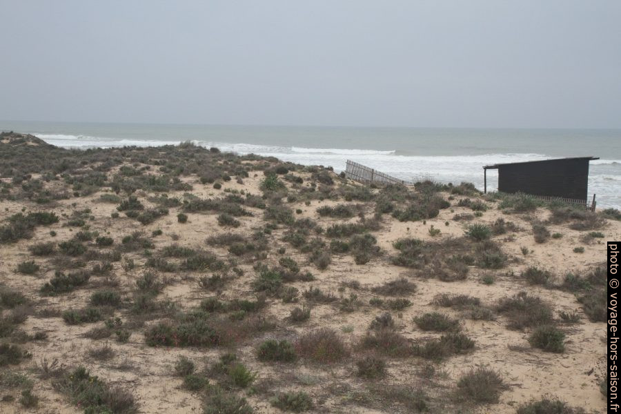 Sur le cordon dunaire derrière la Praia Grande de Pêra. Photo © Alex Medwedeff