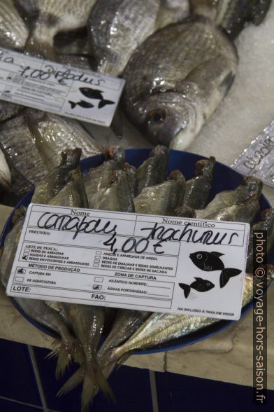 Chinchards étêtés au Mercado de Lagos. Photo © Alex Medwedeff