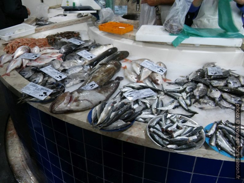 Étal du marché aux poissons de Lagos. Photo © André M. Winter