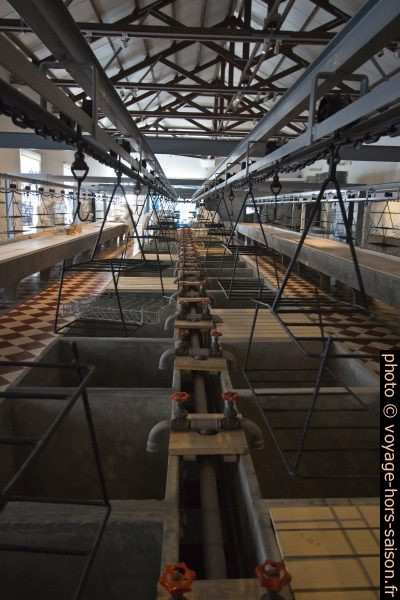 Bassins de lavage du poisson dans l'usine de Portimão. Photo © André M. Winter