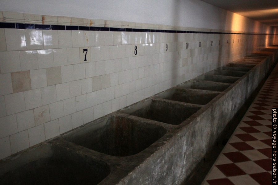 Bassins de lavage du poisson dans l'usine de Portimão. Photo © Alex Medwedeff