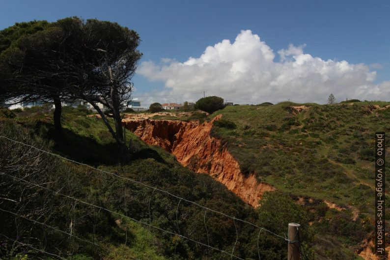 Érosion pluviale sur la Ponta da Piedade. Photo © André M. Winter