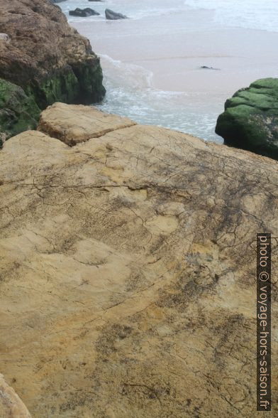 Traces de dinosaures de la Praia de Salema. Photo © Alex Medwedeff