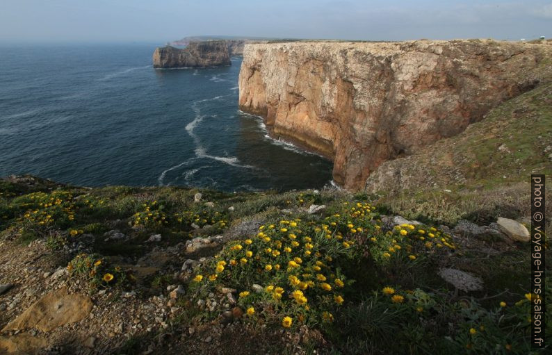 Côte au nord-est de Cabo São Vicente. Photo © André M. Winter