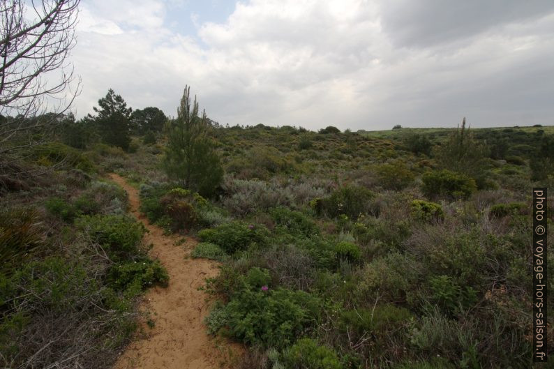 Chemin au sud de l'Urbanização Vale da Telh. Photo © André M. Winter