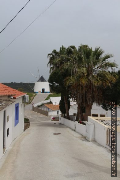 Moulin et palmiers dans le village d'Odeceixe. Photo © André M. Winter