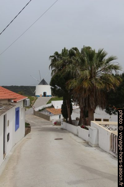 Moulin et palmiers dans le village d'Odeceixe. Photo © André M. Winter
