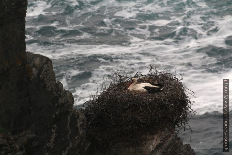 Nid de cigogne et la mer blanche de remous. Photo © André M. Winter