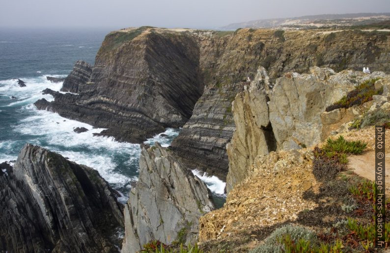 Cabo Sardão. Photo © Alex Medwedeff