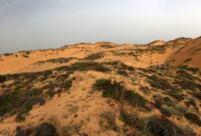 La grande dune d'Almograve. Photo © André M. Winter